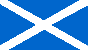 SCO flag